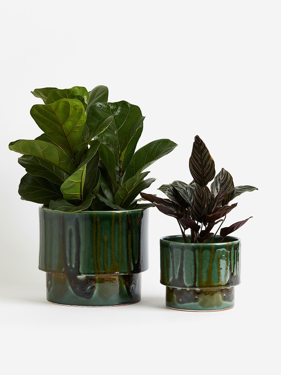 

H&M Green Terracotta Plant Pot