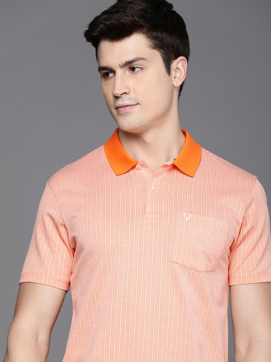 

Allen Solly Men Striped Polo Collar Pure Cotton T-shirt, Peach