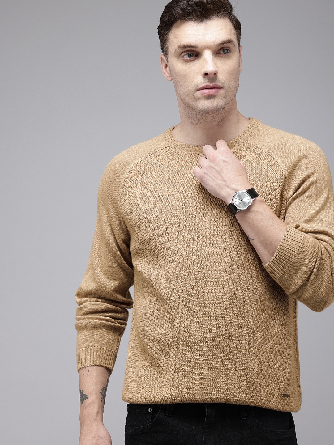 

Park Avenue Self Design Slim Fit Pullover, Beige