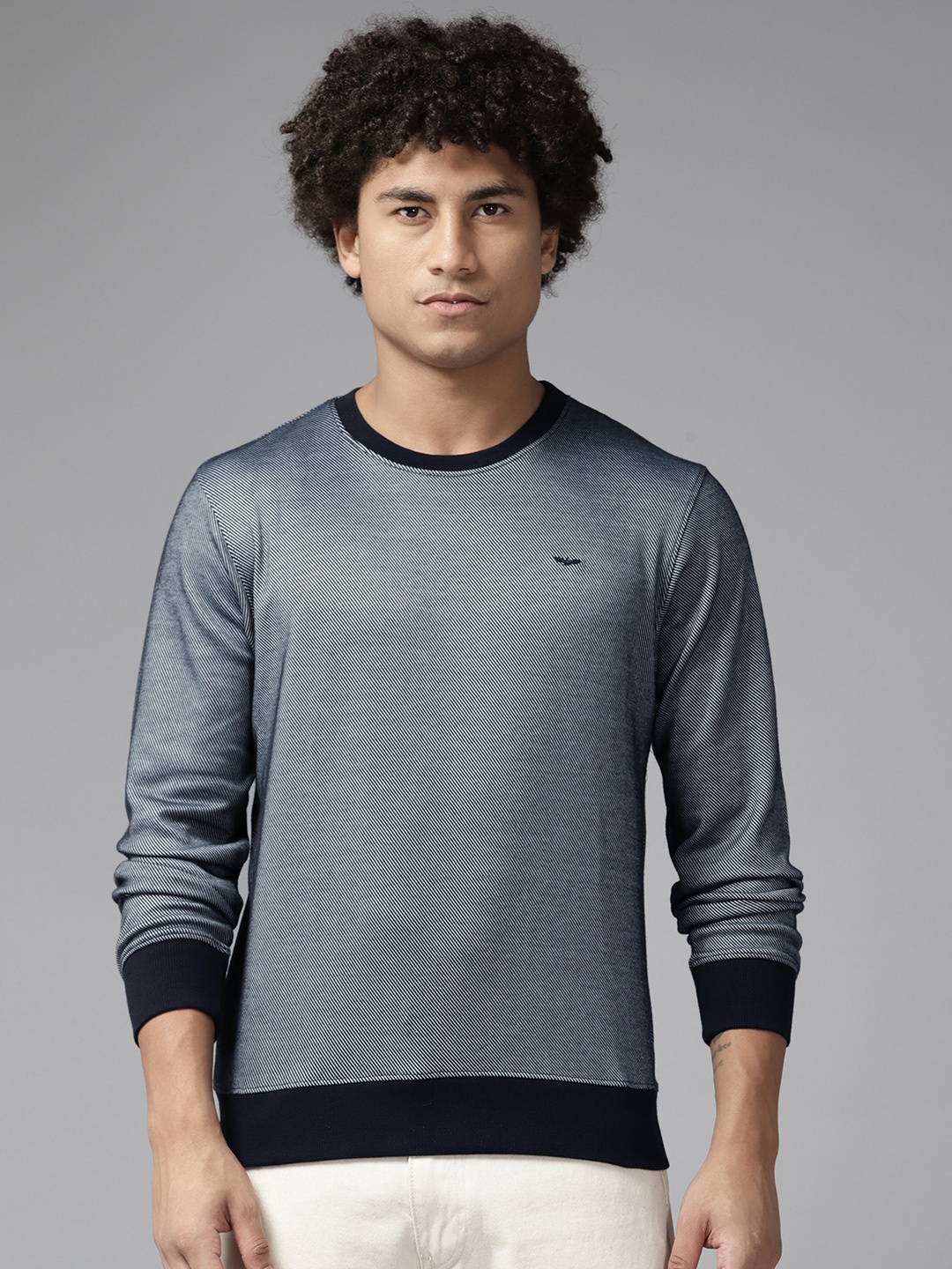 

Park Avenue Men Striped Sweatshirt, Navy blue
