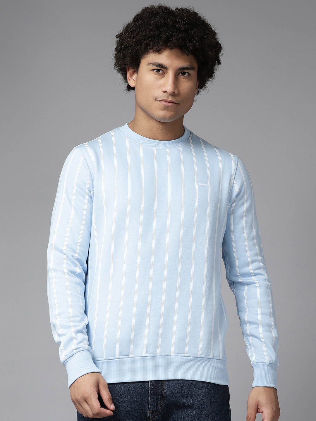 

Park Avenue Men Striped Sweatshirt, Blue