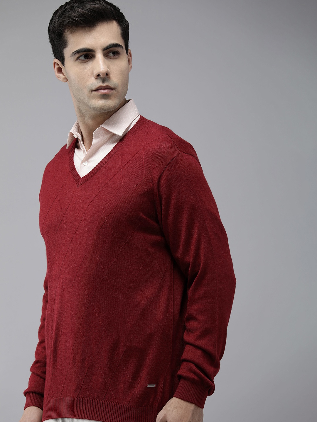 

Park Avenue Men Self Design Pullover, Red