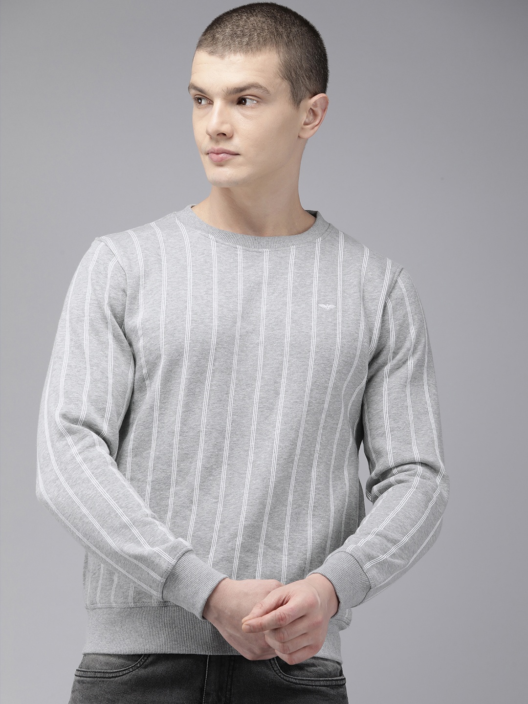 

Park Avenue Round Neck Striped Sweatshirt, Grey