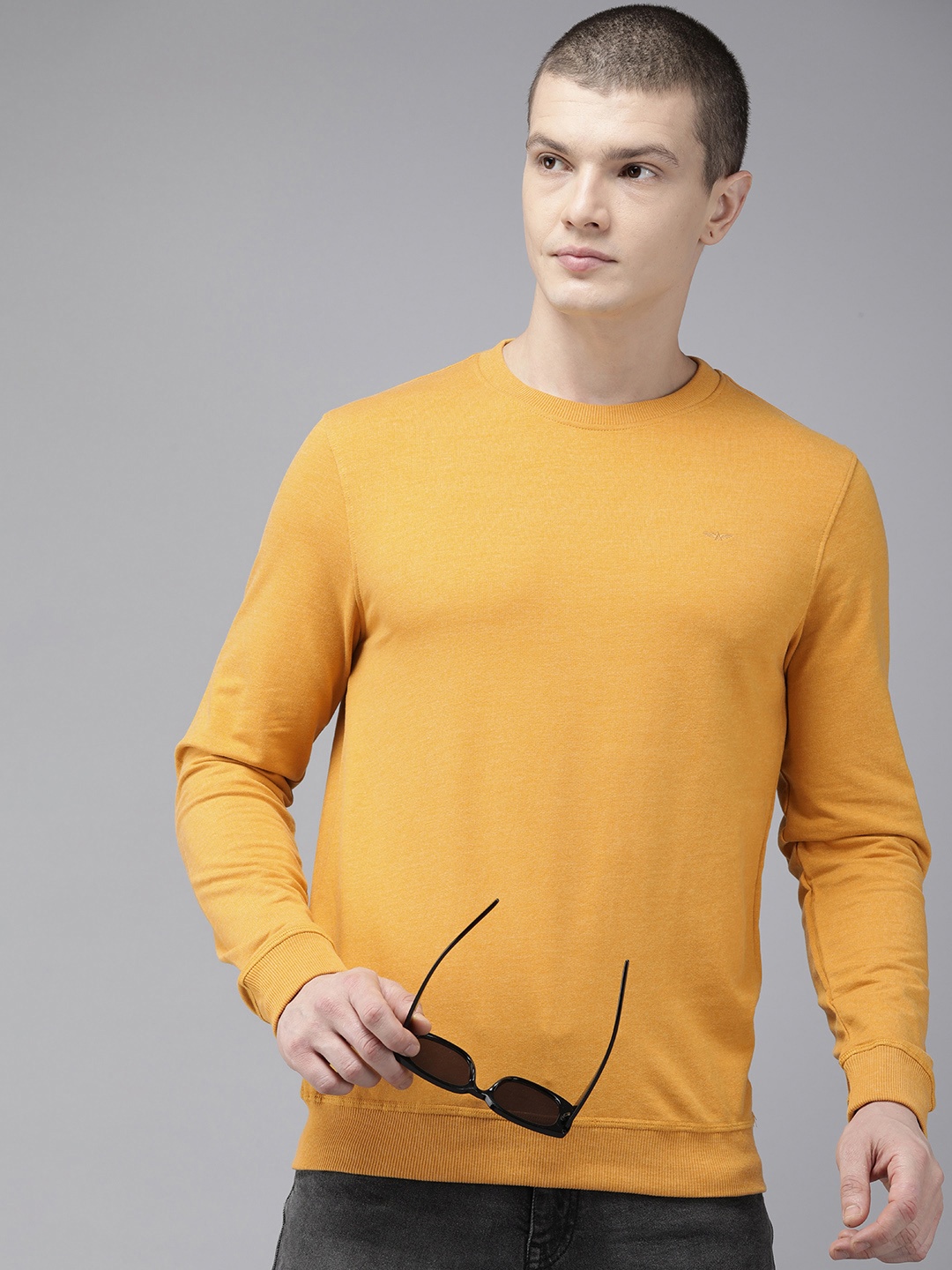 

Park Avenue Round Neck Slim Fit Sweatshirt, Mustard