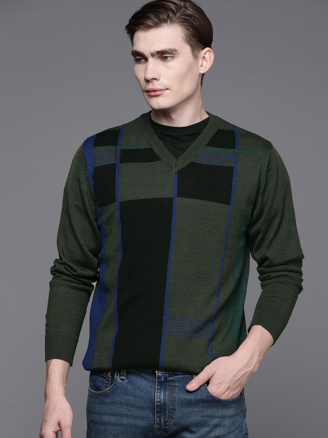 

Raymond Men Self Design Pullover, Olive