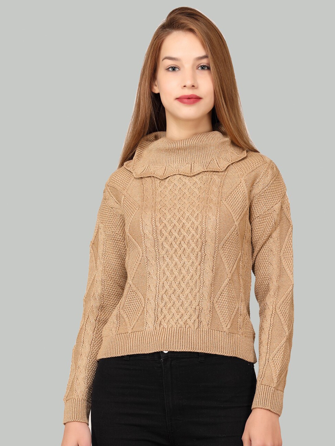 

LA-VITA Self Design Turtle Neck Woollen Pullover Sweater, Beige