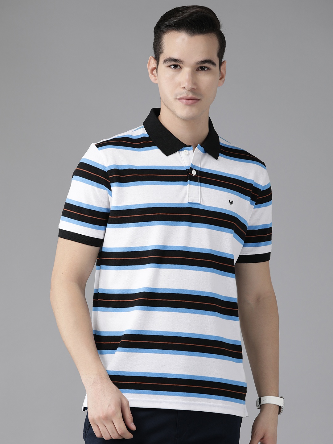 

Blackberrys Hypa Fresh Striped Polo Collar Slim Fit T-shirt, White