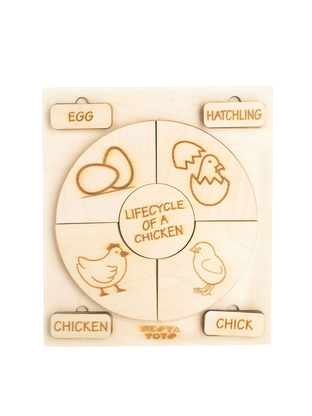 

Nesta Toys Kids 36 Pieces Life Cycle Puzzle Toy, Beige