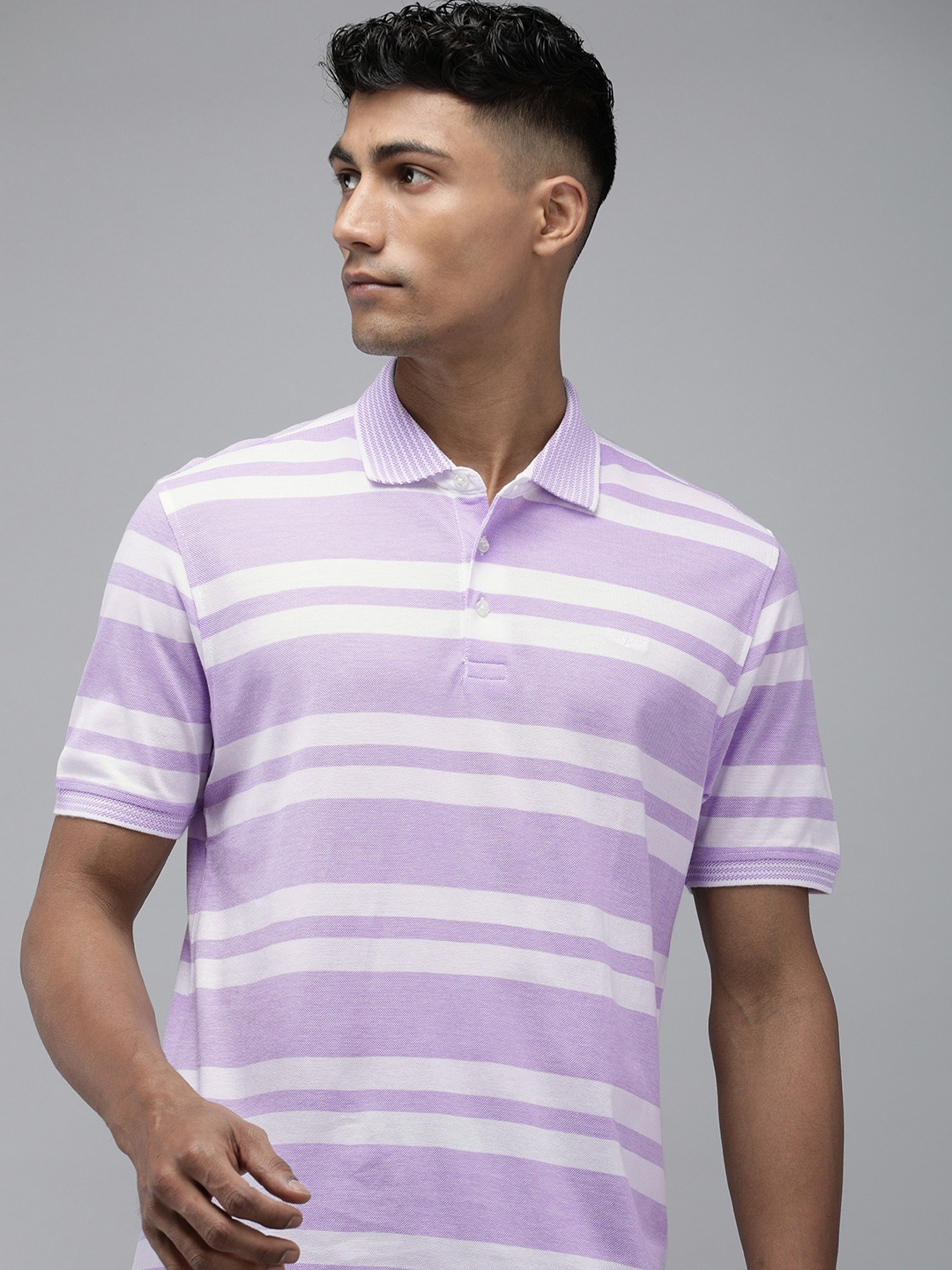 

Park Avenue Striped Polo Collar Pure Cotton Slim Fit T-shirt, Violet