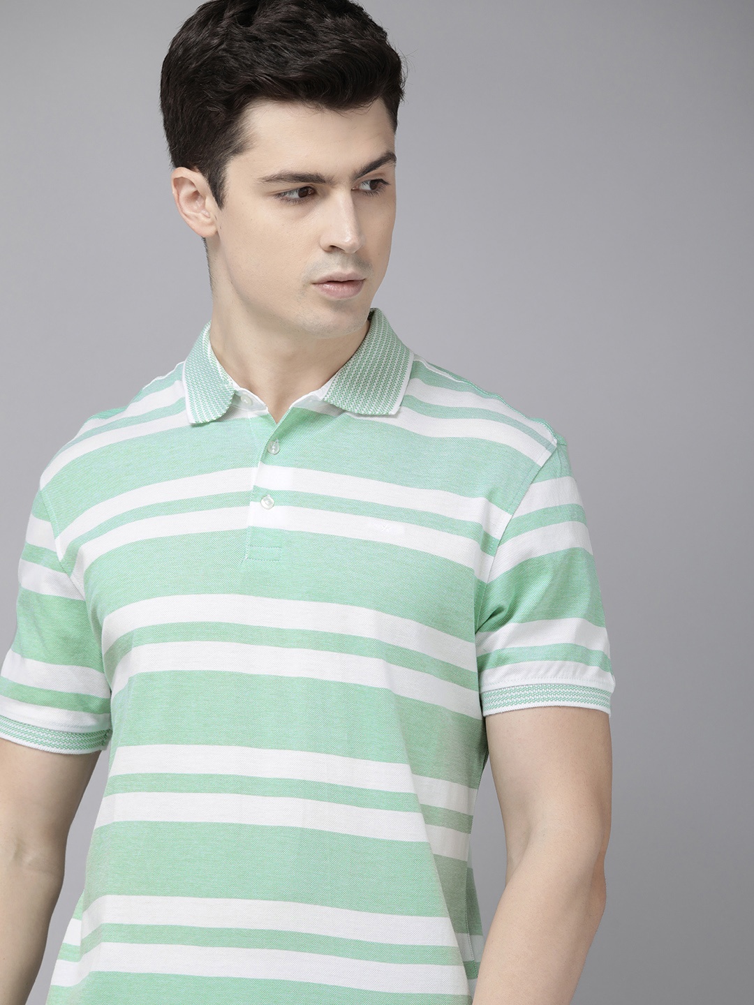 

Park Avenue Striped Polo Collar Pure Cotton Slim Fit T-shirt, Green