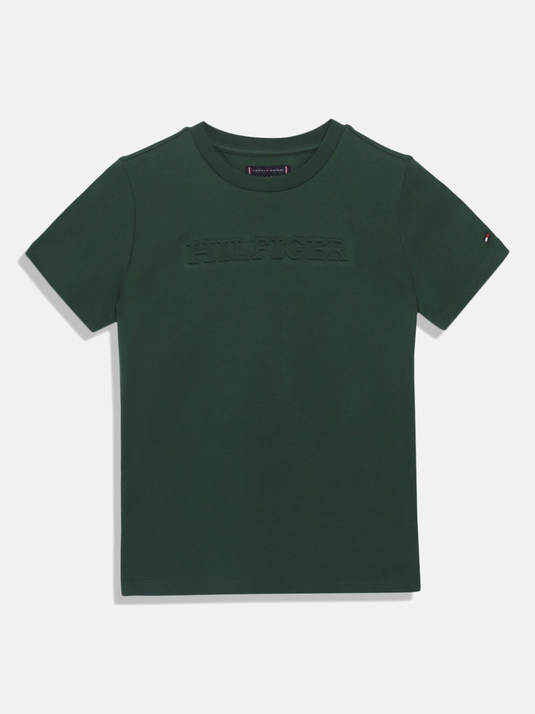 

Tommy Hilfiger Boys Typography Printed Round Neck Pure Cotton T-shirt, Green