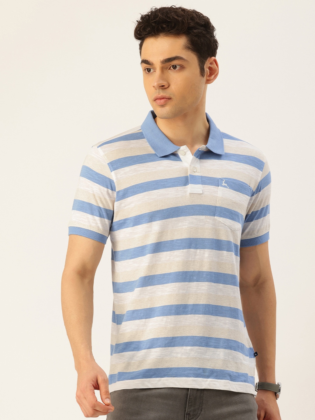 

Parx Striped Polo Collar Pure Cotton T-shirt, Blue