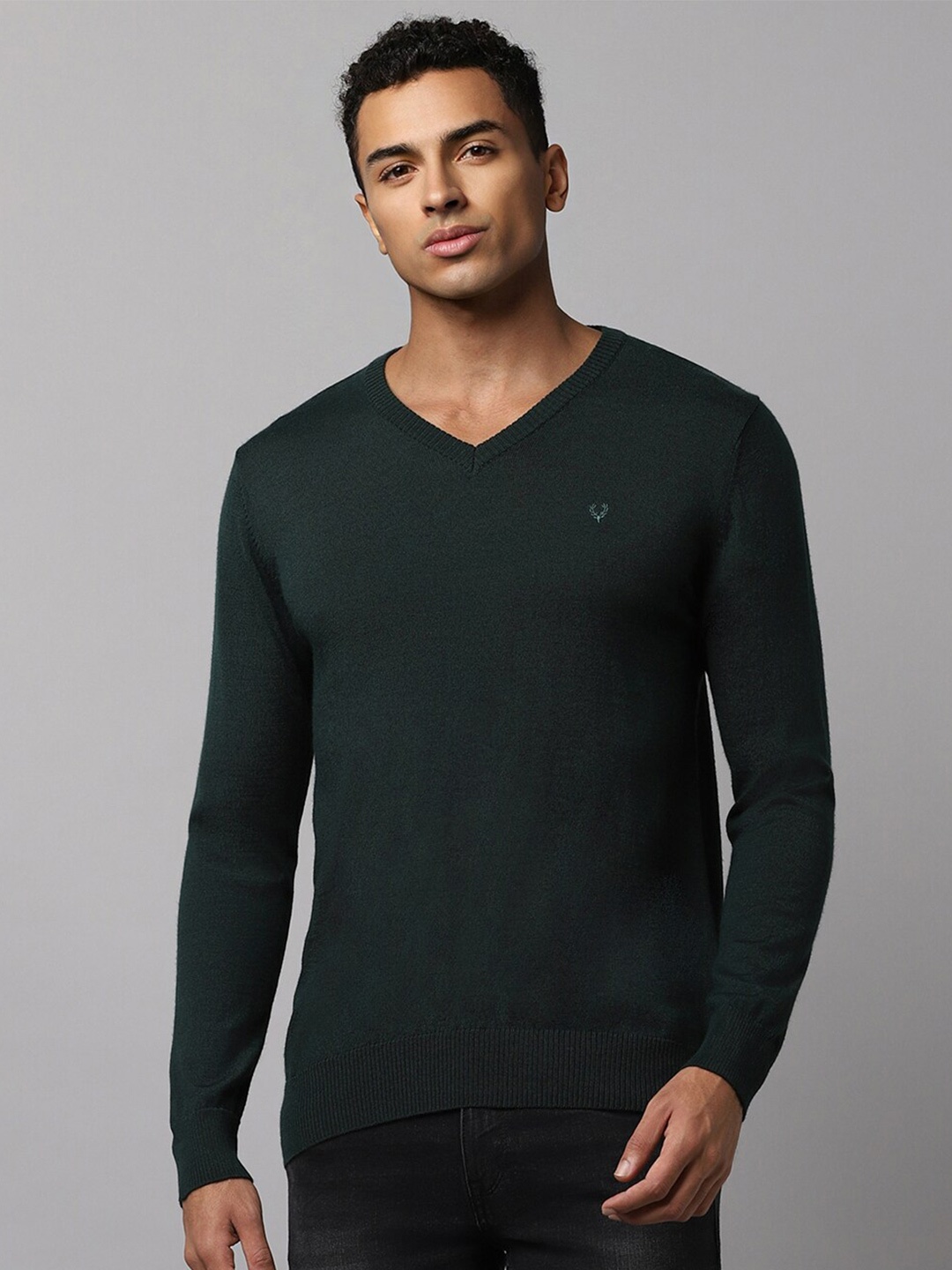 

Allen Solly V-Neck Woollen Pullover, Green