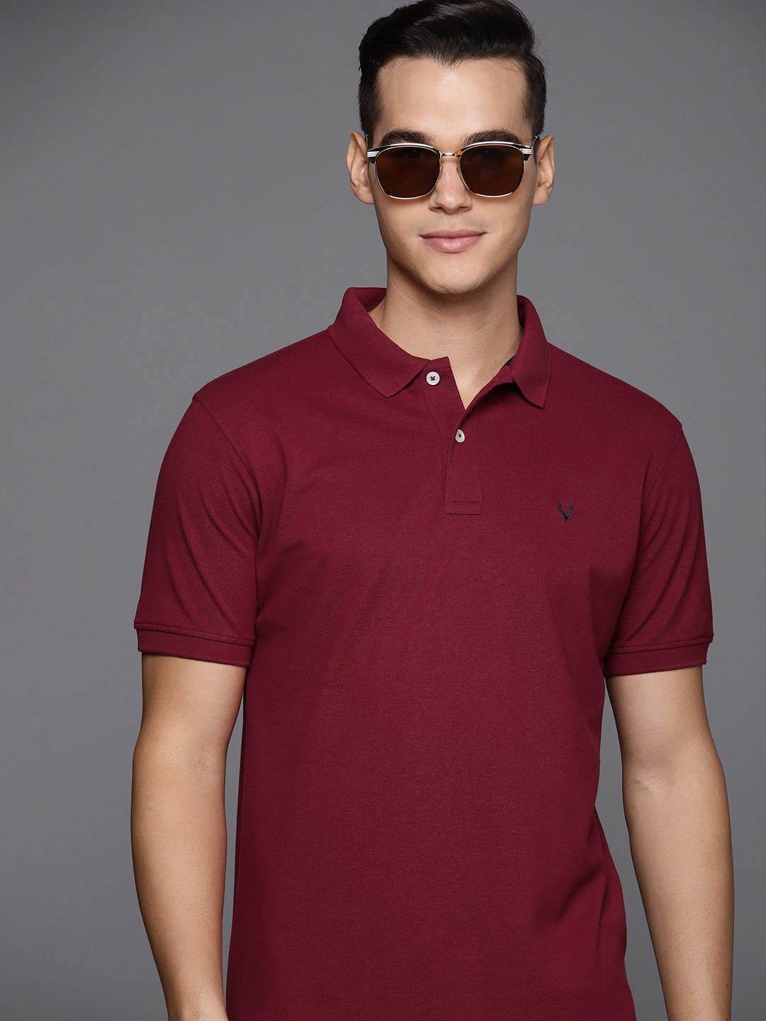 

Allen Solly Polo Collar T-shirt, Maroon