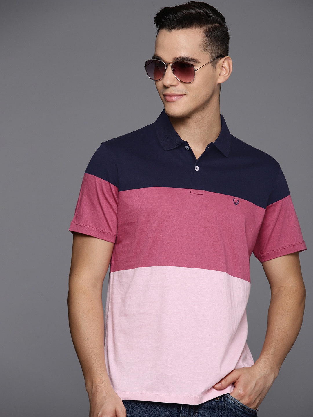 

Allen Solly Colourblocked Polo Collar Pure Cotton T-shirt, Pink