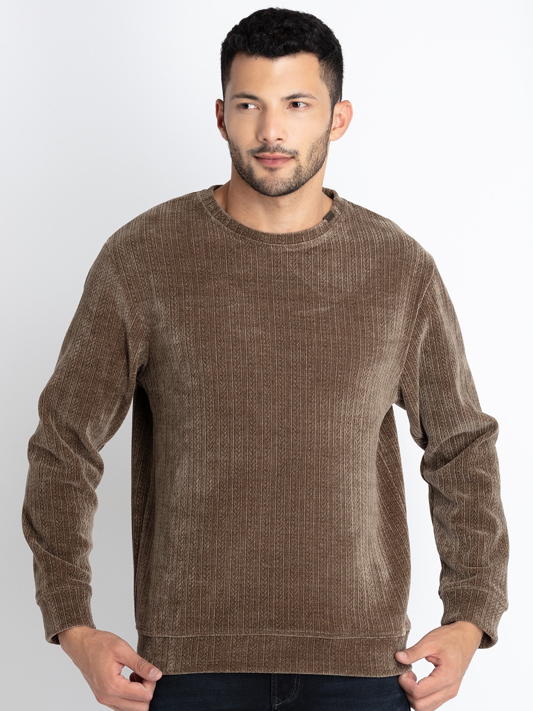 

Status Quo Striped Self Design Pullover Sweatshirt, Brown