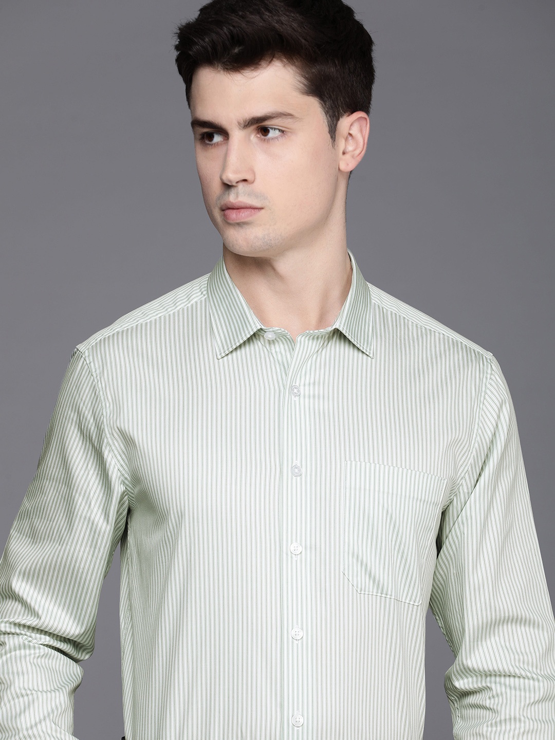 

Louis Philippe Pure Cotton Slim Fit Opaque Striped Formal Shirt, Green