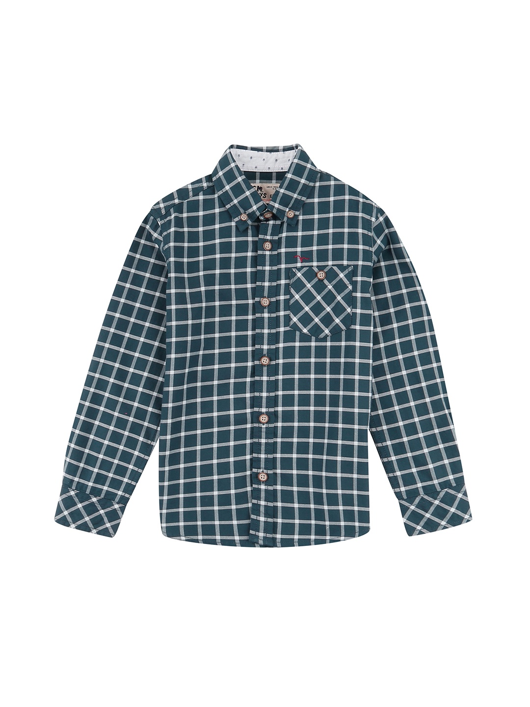 

Flying Machine Boys Green Regular Fit Checked Casual Shirt