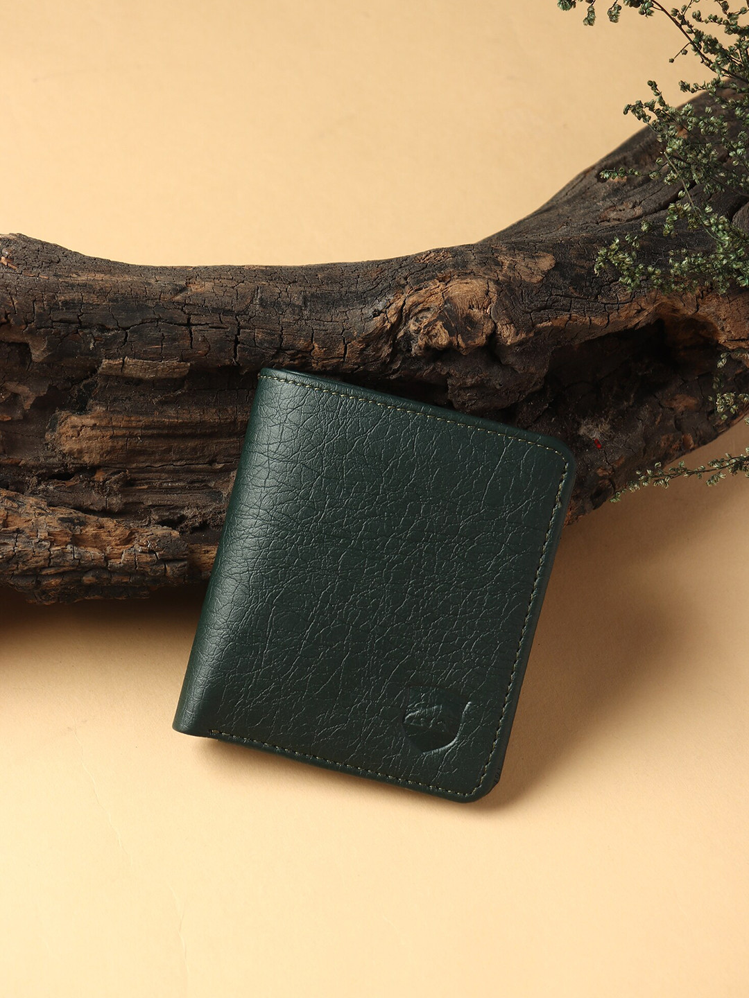 

SAMTROH Women Textured Two Fold Wallet, Green