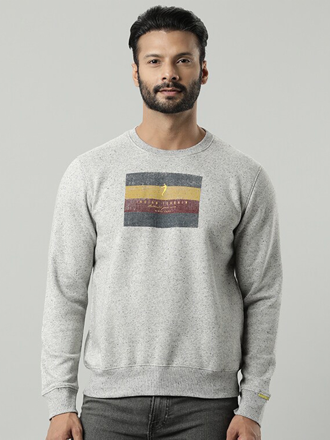 

Indian Terrain Graphic Printed Sweatshirt, Grey