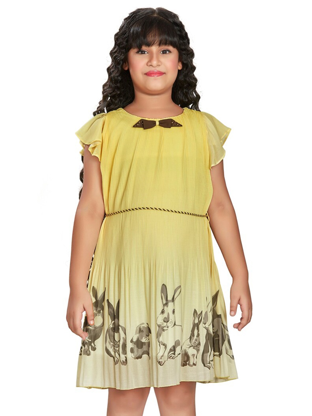 

Peppermint Self Design Flutter Sleeve Fit & Flare Dress, Yellow