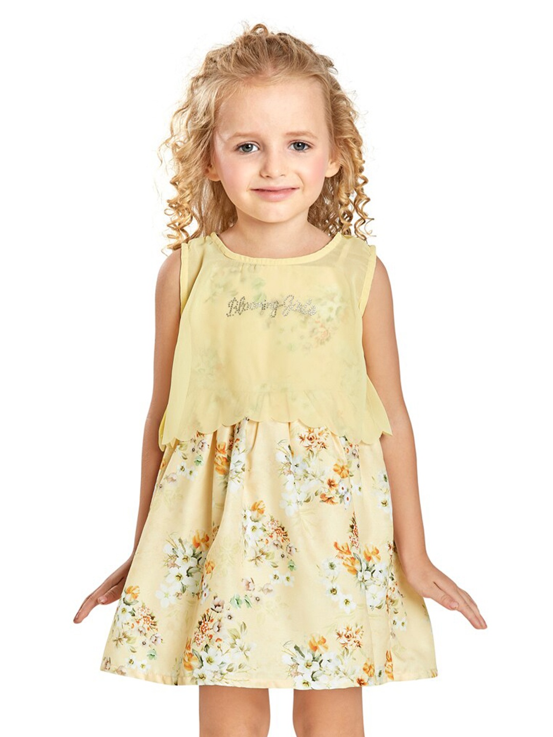 Peppermint Floral Printed Georgette Fit & Flare Dress, Yellow