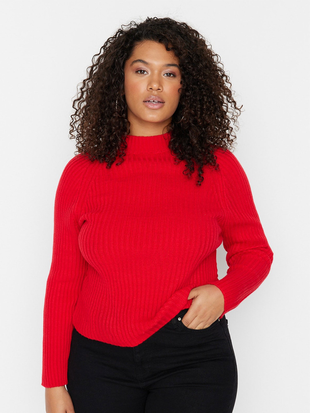

Trendyol Self Design High Neck Fitted Regular Top, Red