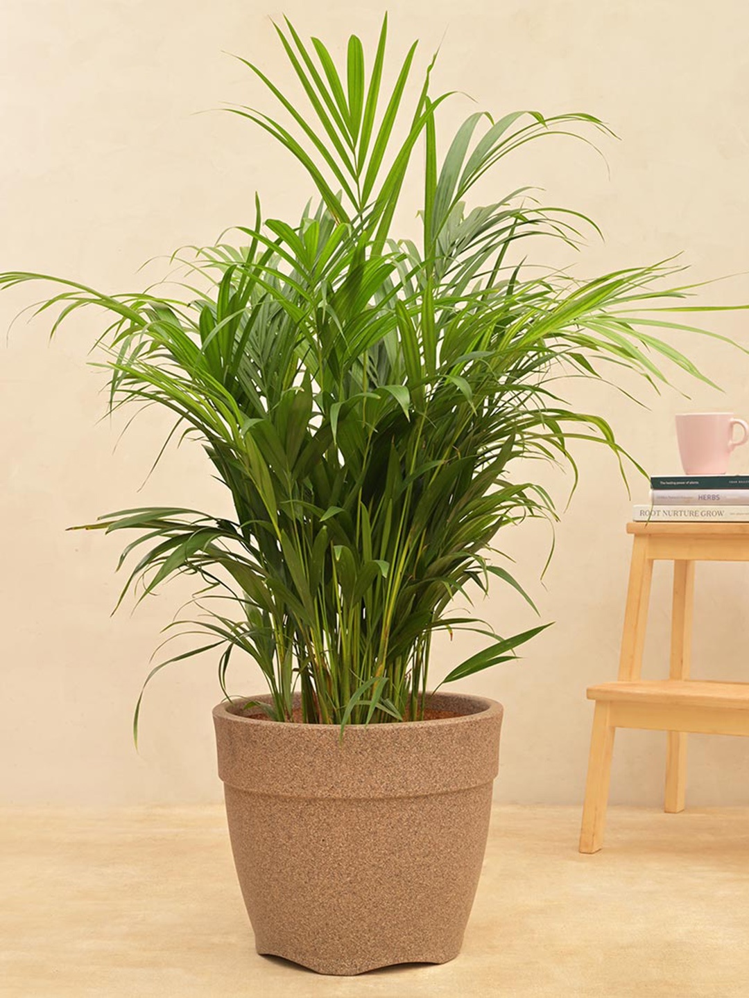 

UGAOO Brown Barca Round Planter