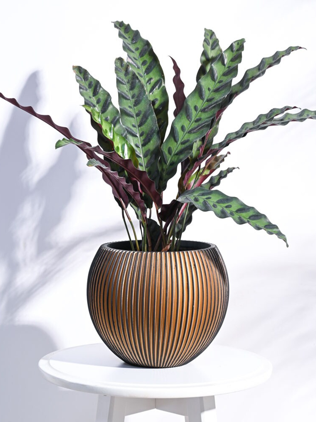 

UGAOO Zuri Black Textured Vase Ball Shaped Planter