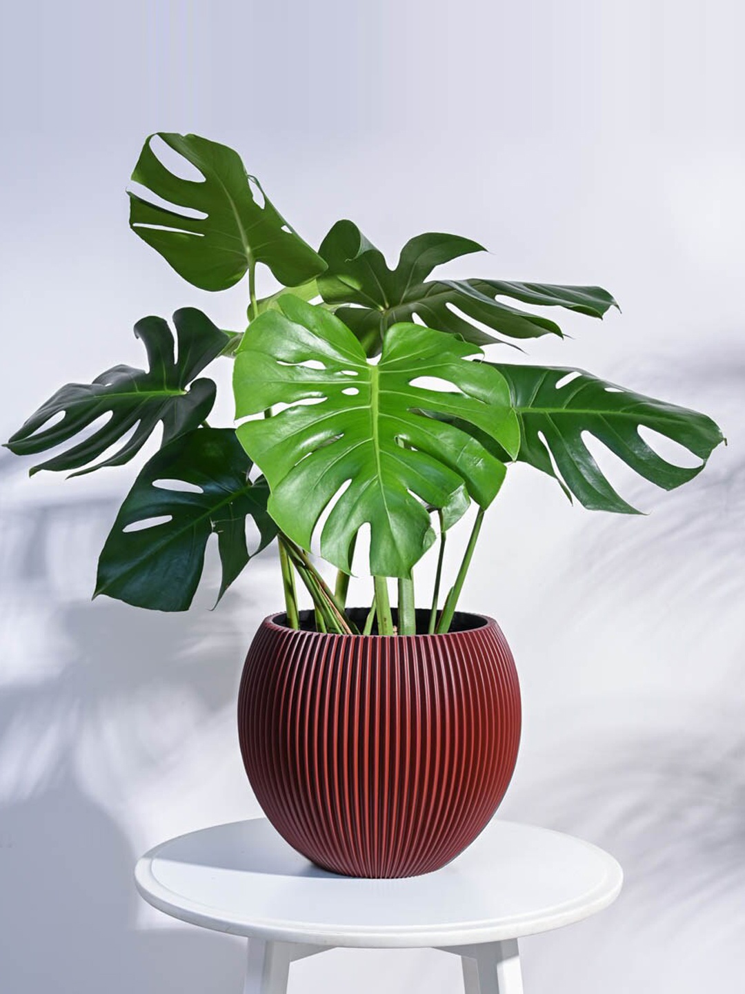 

UGAOO Red Textured Vase Ball Shaped Planter