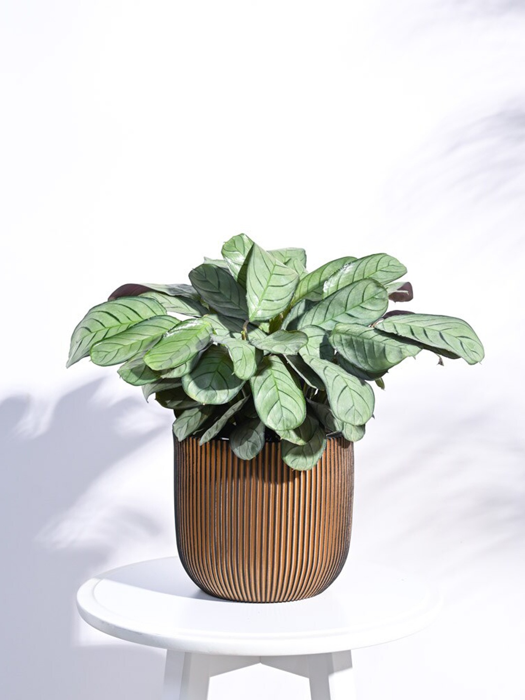

UGAOO Zuri Black Textured Ball Shaped Planter