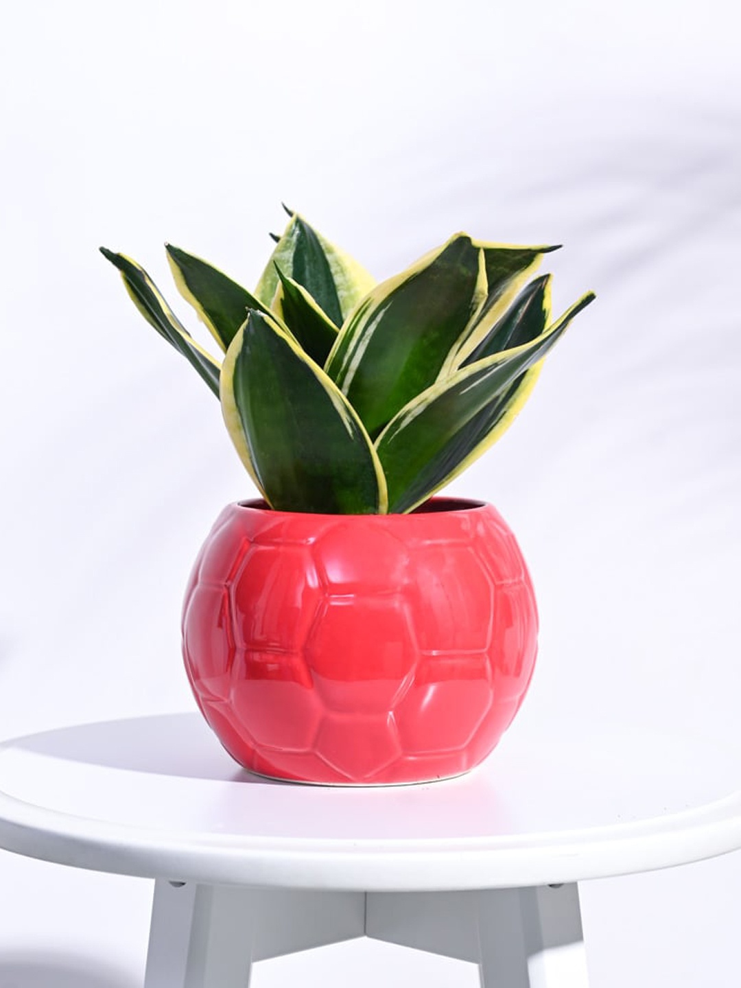 

UGAOO Red Ceramic Football Planter