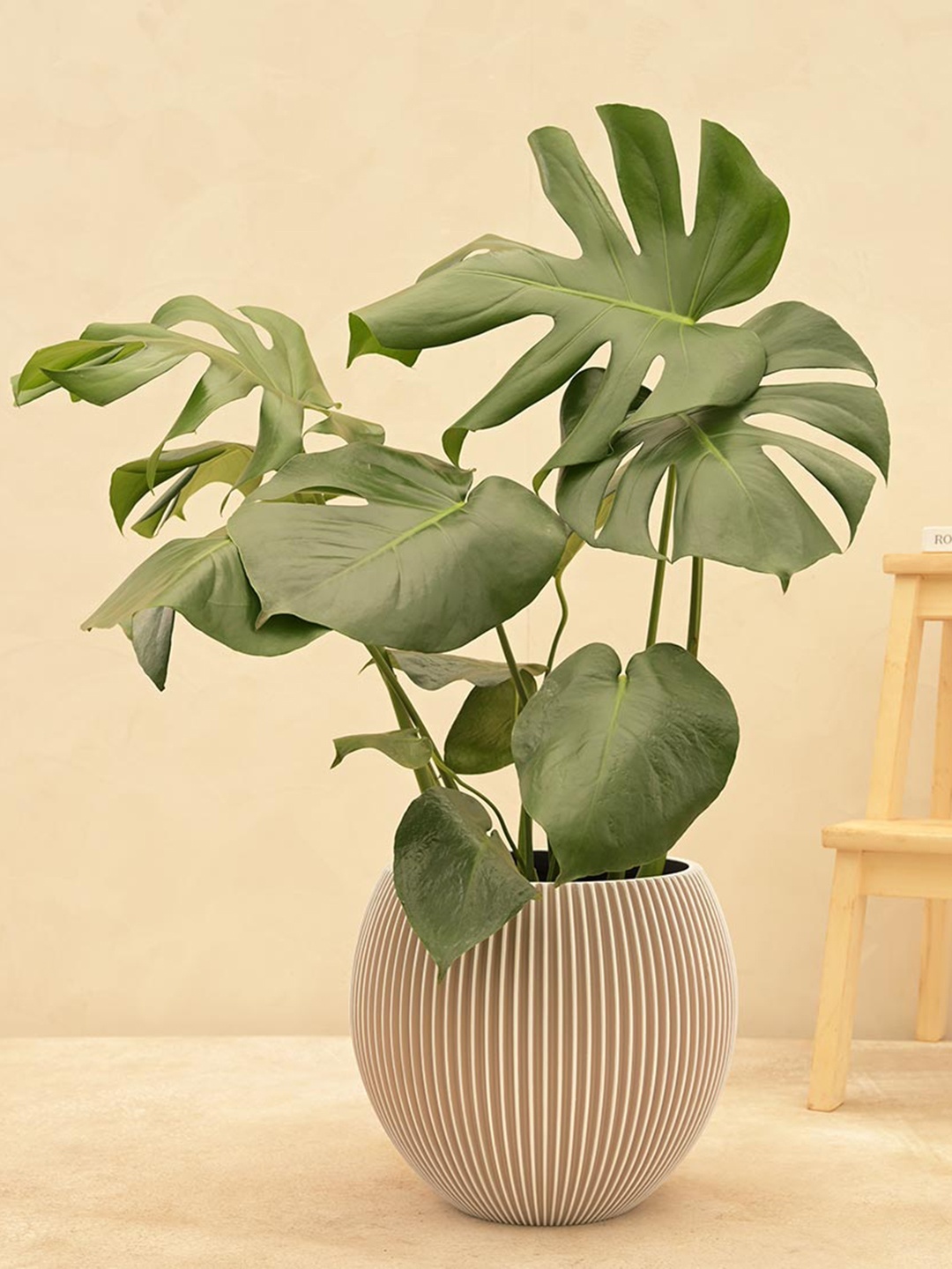 

UGAOO Beige Vase Ball Groove Large Planter