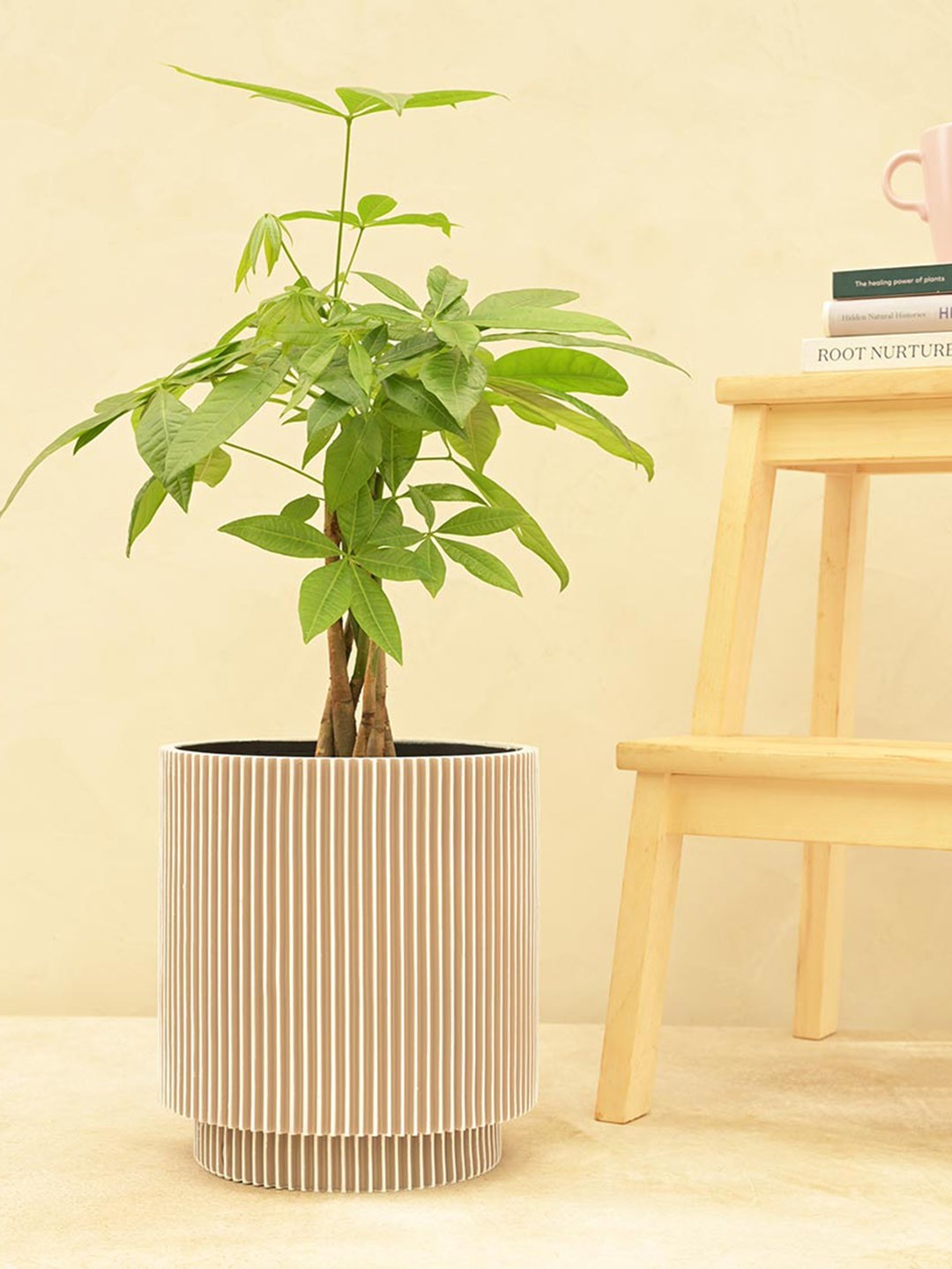 

UGAOO Zuri Beige Vase Cylinder Groove Large Planter