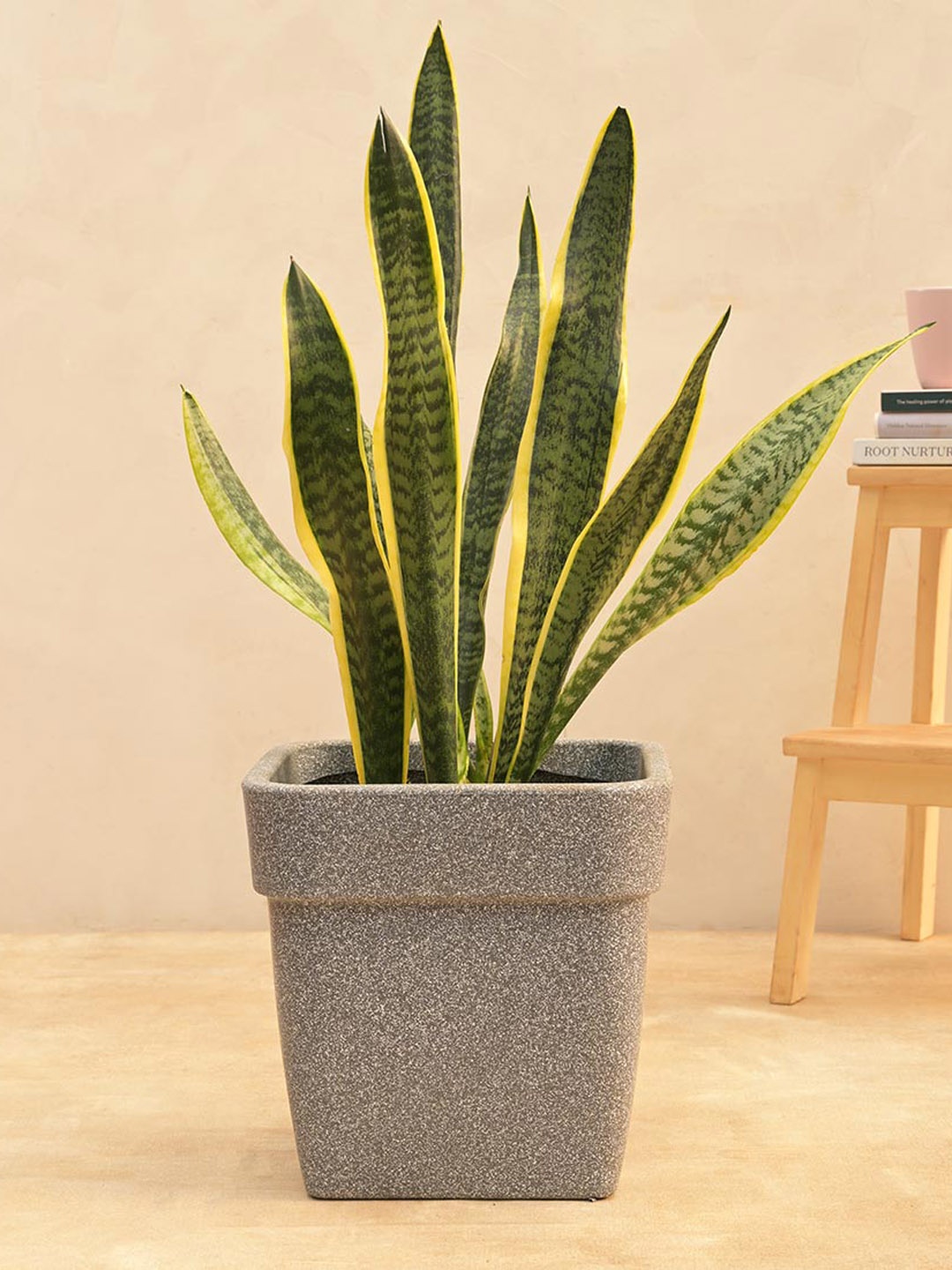 

UGAOO Grey Barca Square Planter