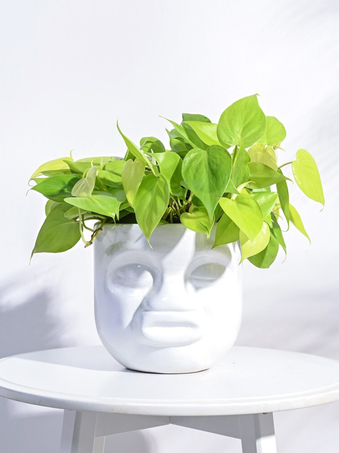 

UGAOO Unwavered Love White Ceramic Pout Face Shaped Planter