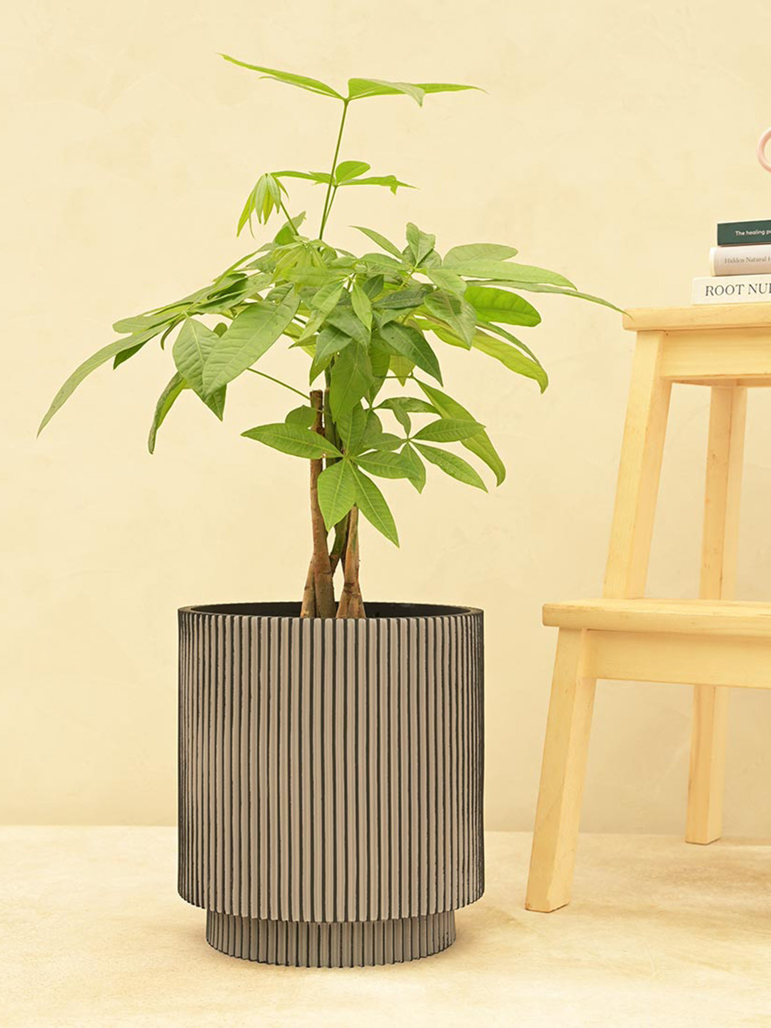 

UGAOO Black Zuri Vase Cylinder Groove Large Planter