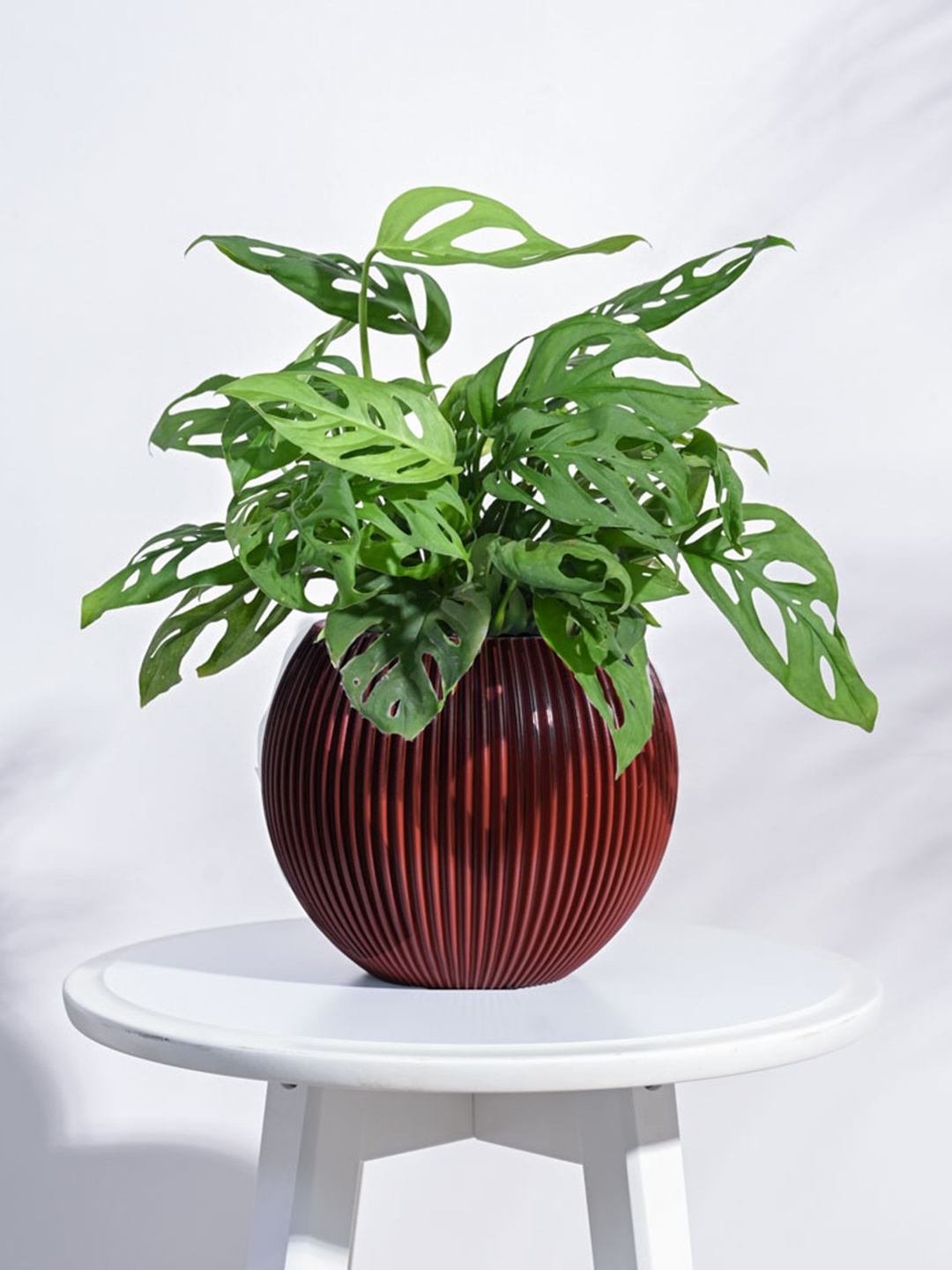 

UGAOO Red Vase Ball Groove Small Planter For Home & Balcony Garden