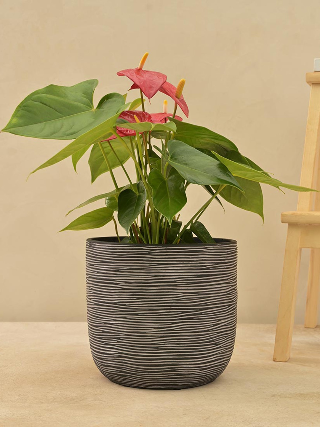 

UGAOO Black Zuri Ball Rib Large Planter