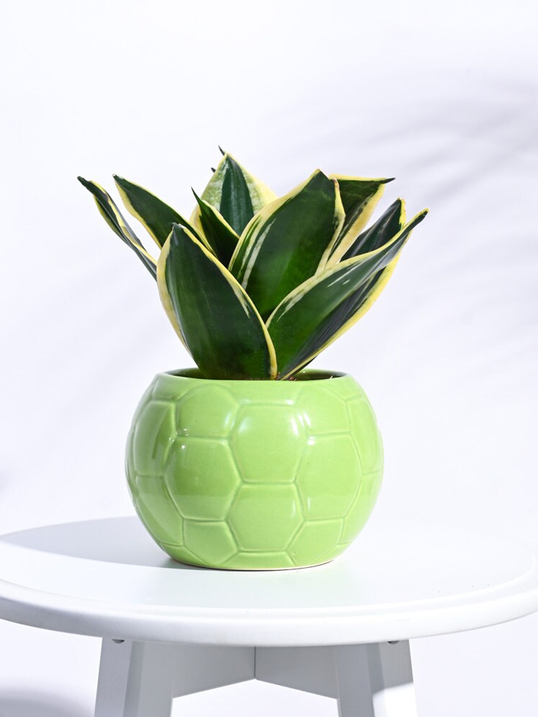 

UGAOO Green Football Ceramic Planters