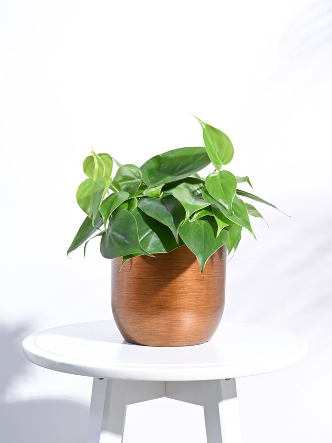 

UGAOO Zuri Gold Ball Retro Planters