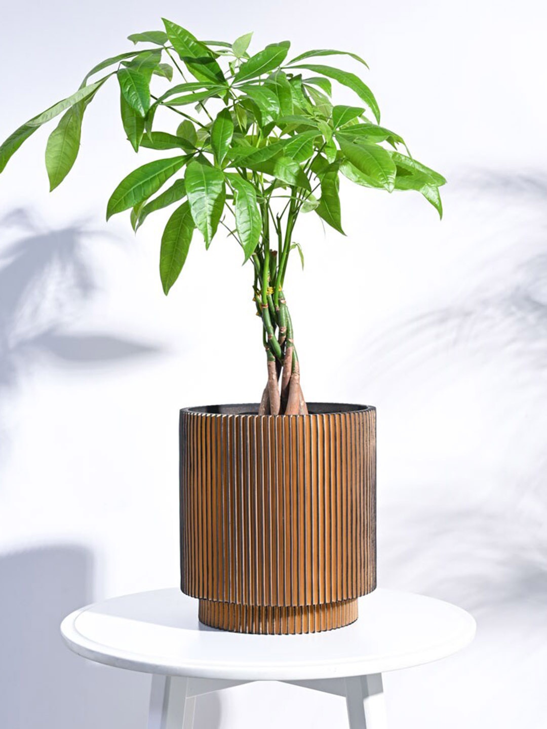 

UGAOO Gold-Toned & Black Zuri Vase Cylinder Groove Large Planter