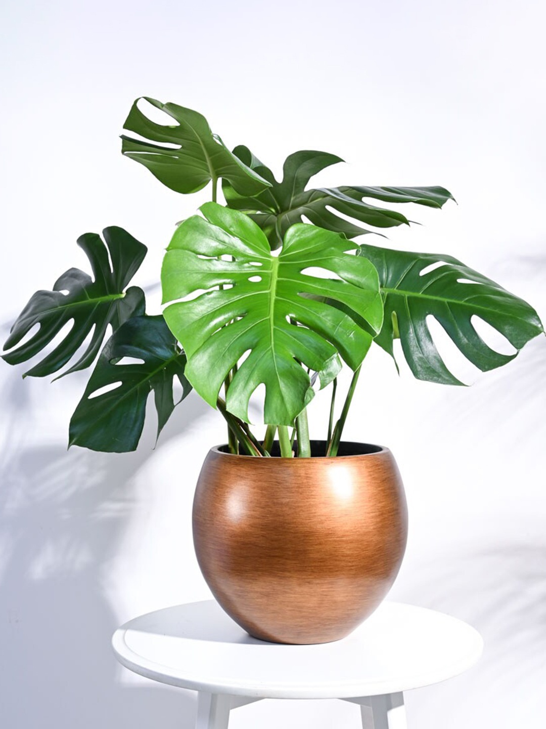 

UGAOO Zuri Copper-Toned Vase Ball Shaped Planter