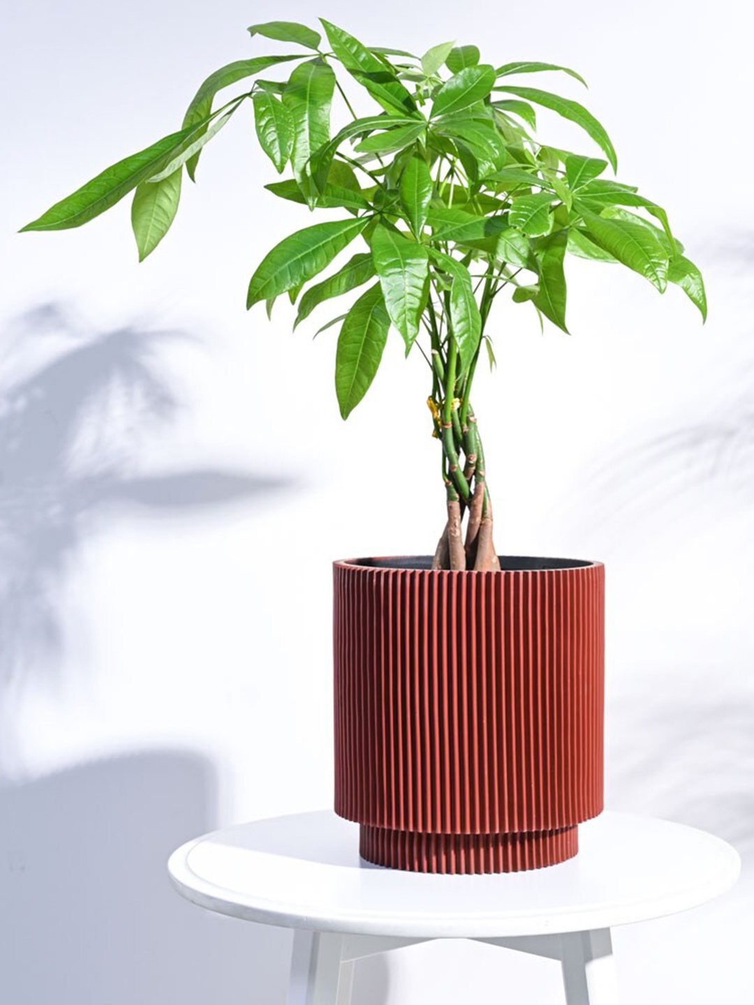 

UGAOO Zuri Red Textured Cylinder Planter