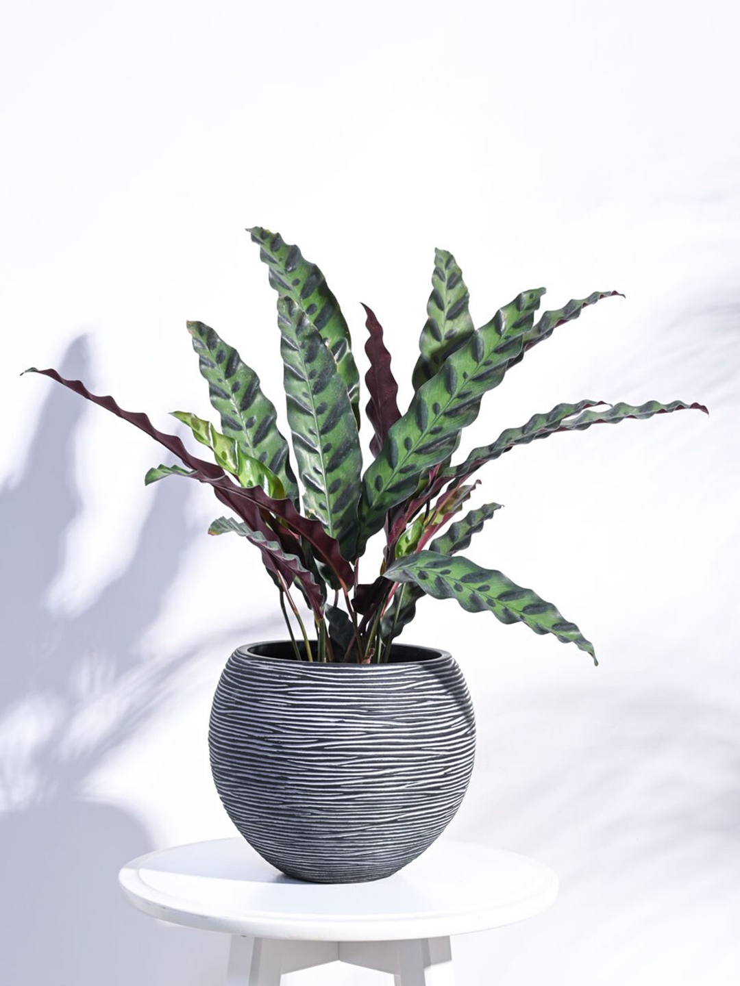 

UGAOO Black Vase Ball Rib Medium Planter For Home & Balcony Garden
