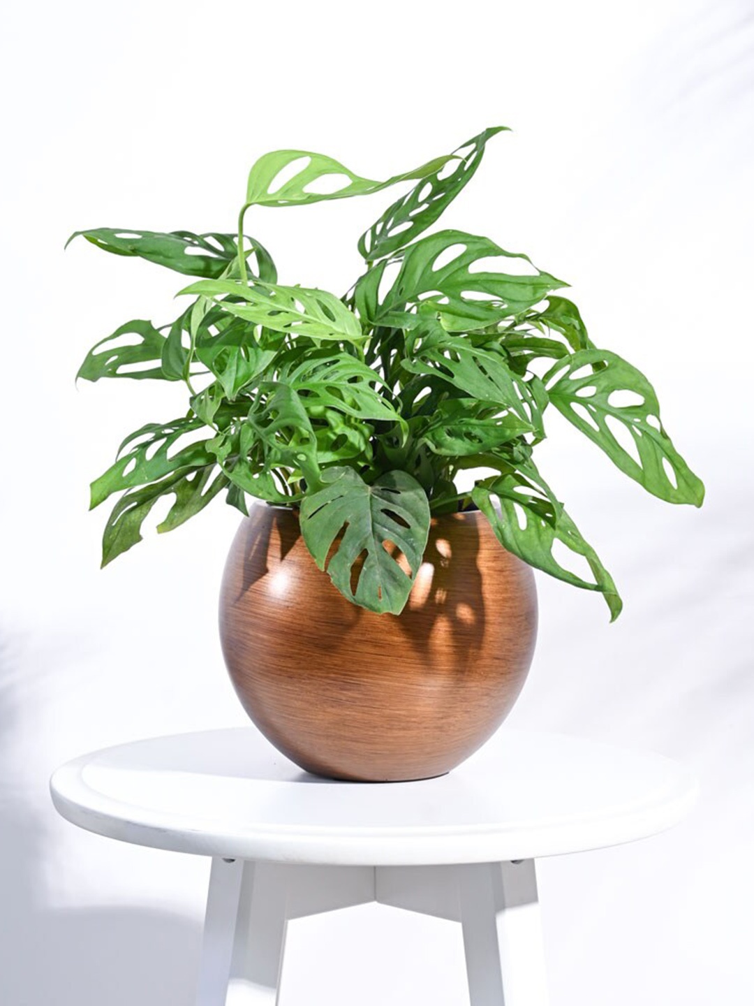 

UGAOO Gold-Toned Zuri Ball Retro Small Planter