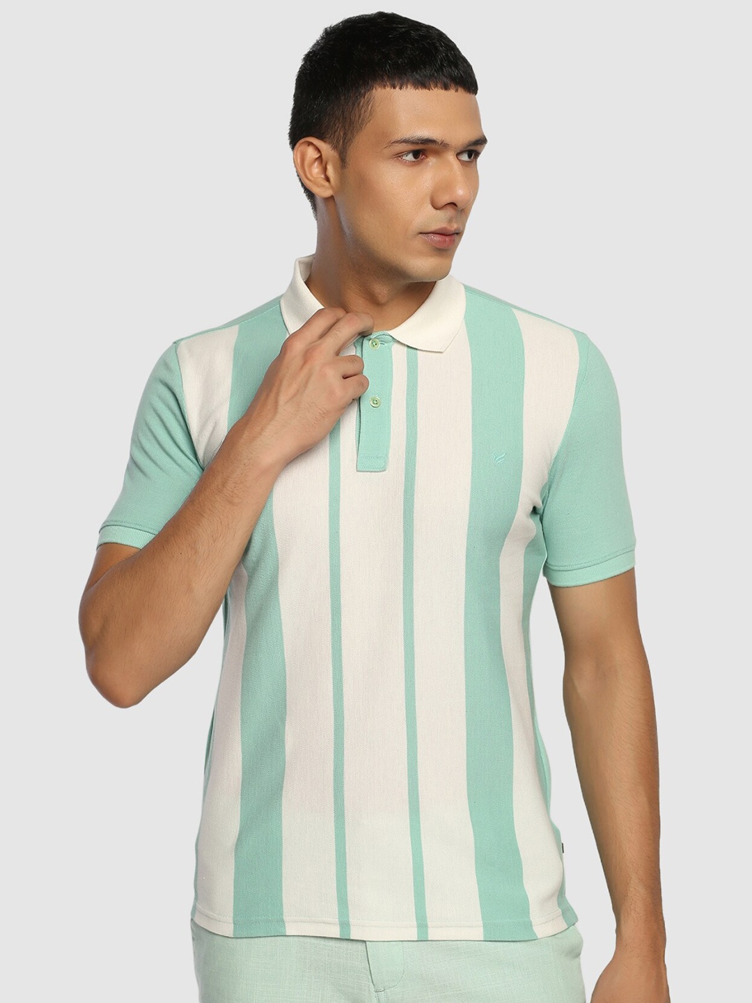 

Blackberrys Striped Polo Collar Slim Fit Pure Cotton T-Shirt, Green