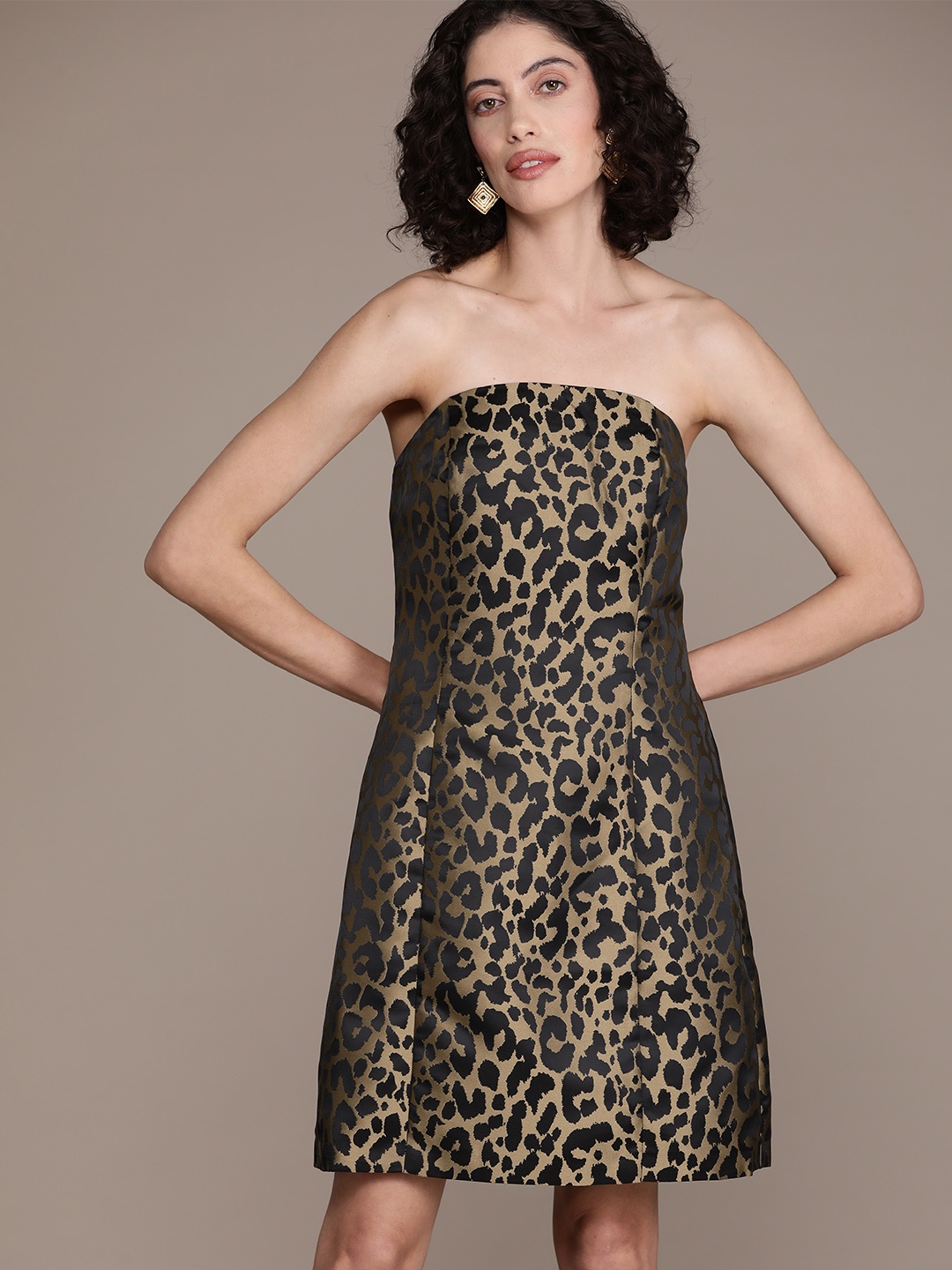 

WAREHOUSE Animal Print Jacquard A-Line Dress, Brown