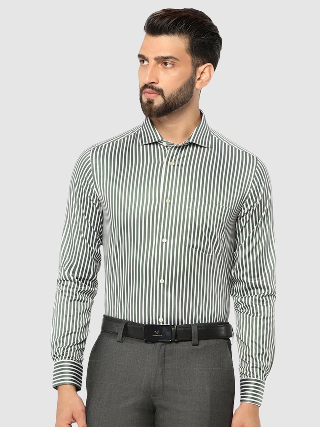 

Blackberrys Straight Slim Fit Striped Pure Cotton Formal Shirt, Green