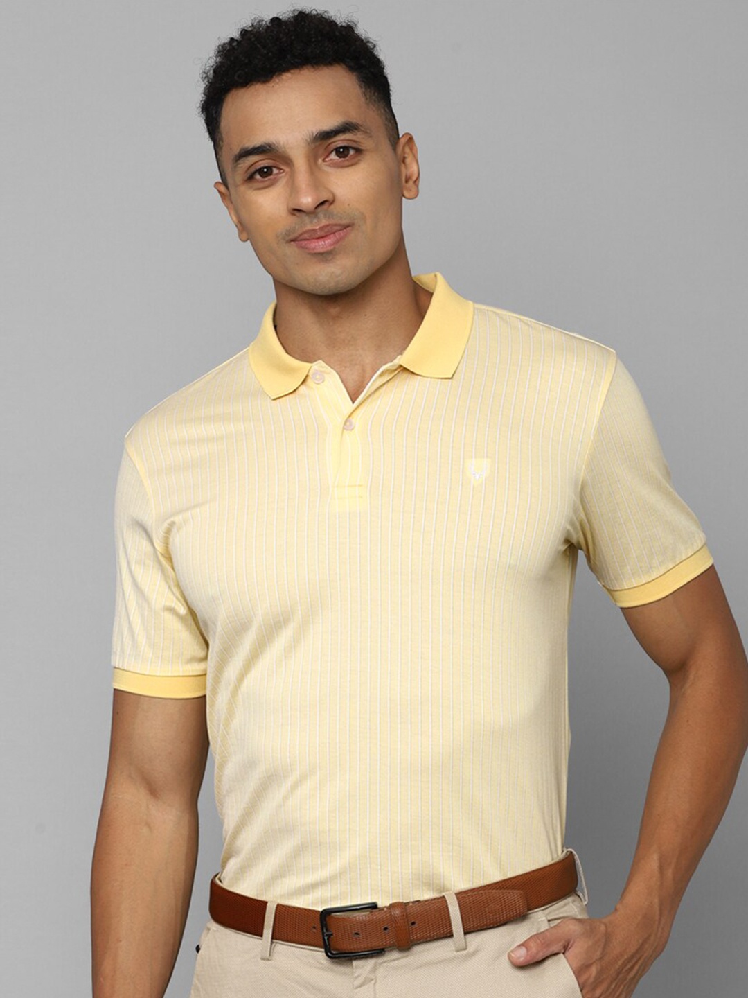 

Allen Solly Striped Polo Collar Pure Cotton T-shirt, Yellow